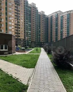Индекс ягодная 8