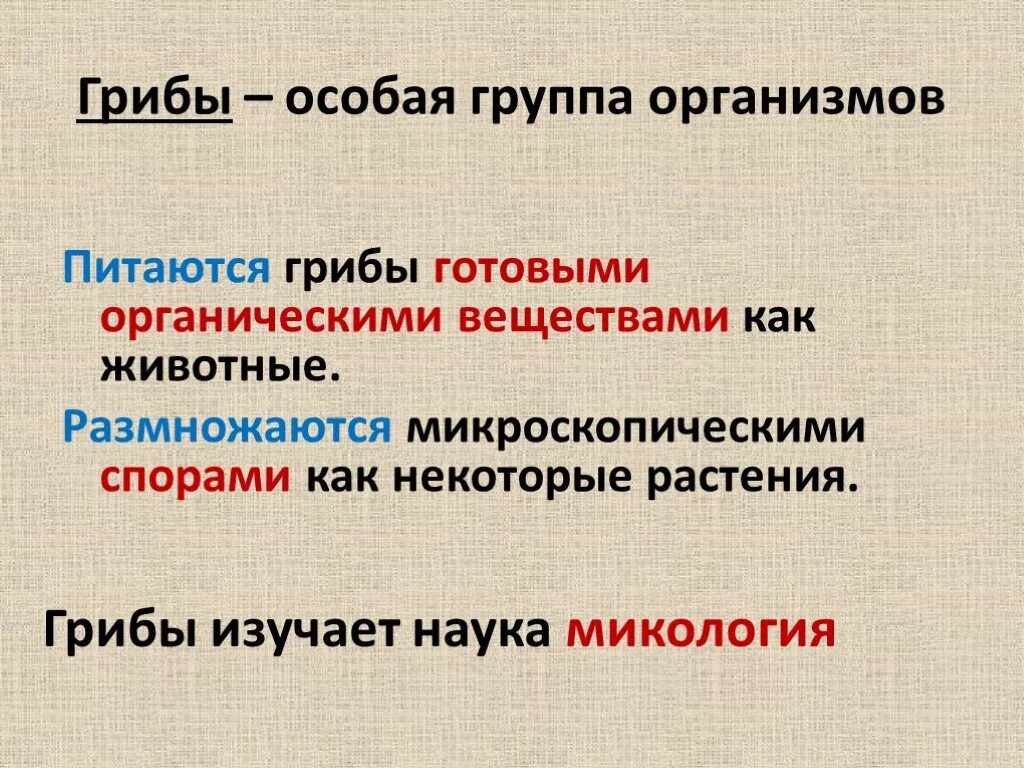 Грибы это особая группа. Экологические группы грибов. Группа грибов примеры. Экологические группы грибов таблица 6 класс. Грибы как и животные питаются готовыми органическими веществами.