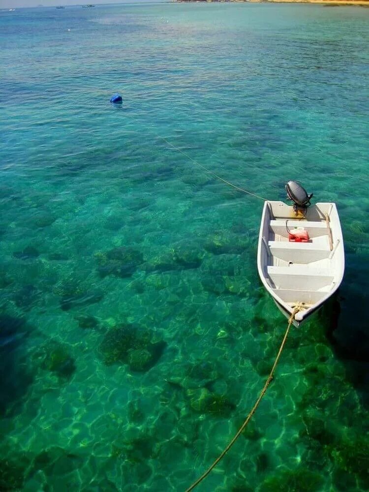 Кристальное море. Прозрачная вода море. Самая прозрачная вода. Самое прозрачное море. Кристально чистое море.