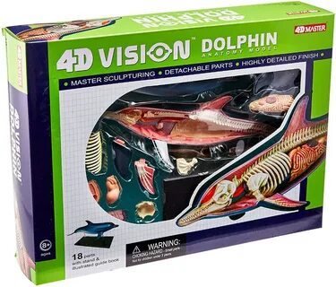 4d master