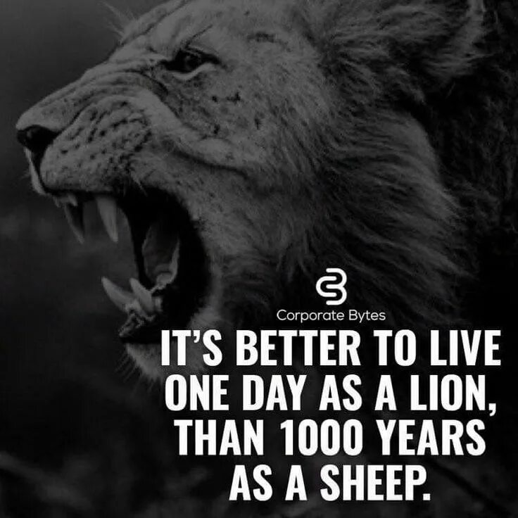 It is better to use