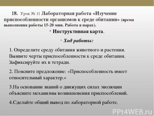 Изучение приспособленности организмов к определенной среде обитания. Урок лабораторная работа. Лабораторная работа изучение приспособленности. Лабораторная работа изучение приспособленности к среде обитания. Изучение приспособлений организмов к определенной среде обитания.