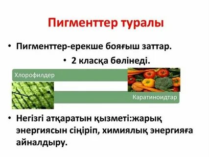 Классы пигментов