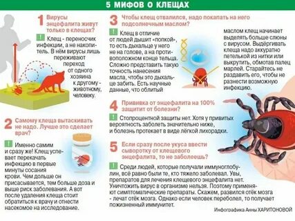 Энцефалит после укуса собаки
