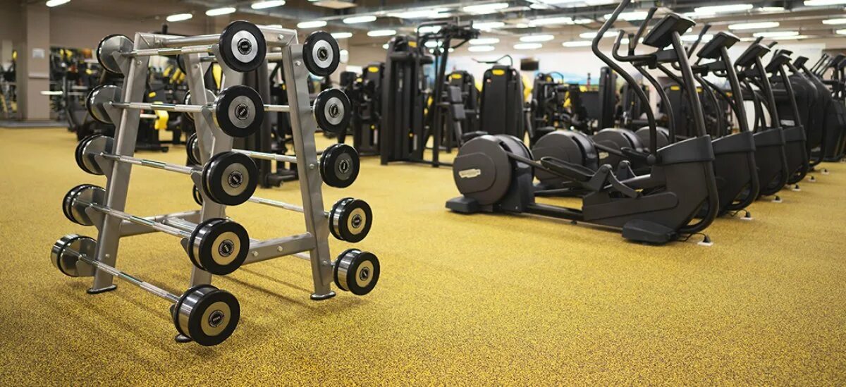Фитнес хаус на политехнической. Бассейн шипка самара фитнес хаус. Fitness house ул стара загора 58 отзывы. Кинотеатр шипка фитнес хаус. Бассейн шипка самара.