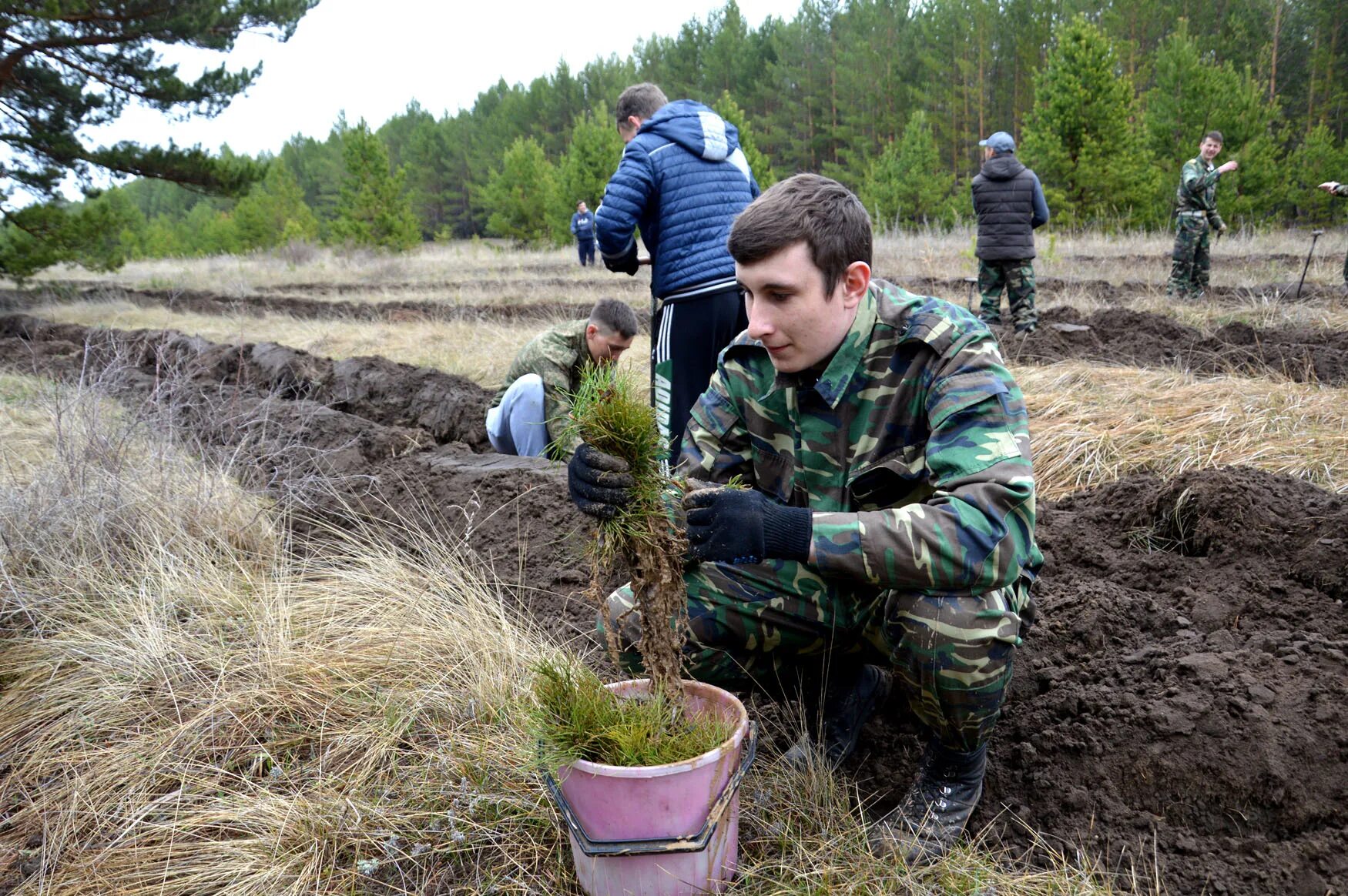 Рп5 михайловский приморский край. Михайловский лицей кадеты. Михайловский лицей Алтайский край. Посёлок Михайловского лесничества. Михайловское районное лесничество.