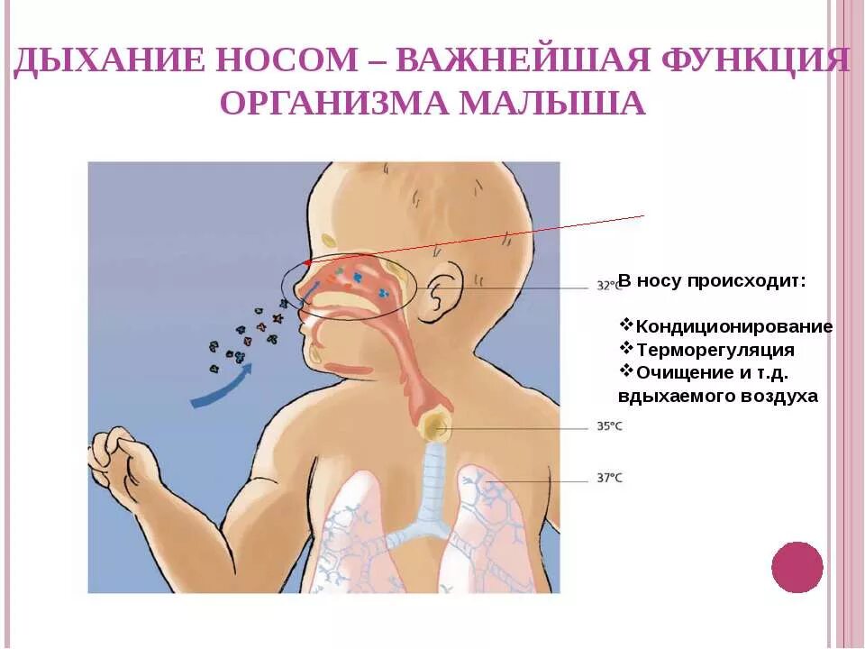Запах из дыхательных путей