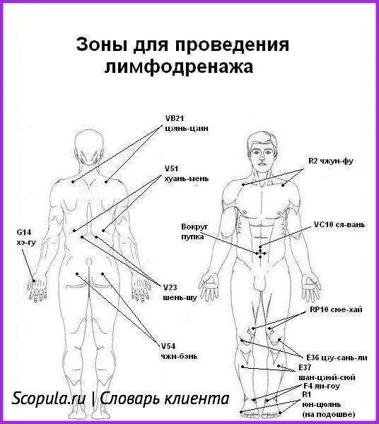 Почему лимфодренажный массаж. Лимфодренажный массаж тела схема выполнения. Лимфатический массаж тела схема. Схема движений для лимфодренажного массажа. Схема проведения лимфодренажного массажа.