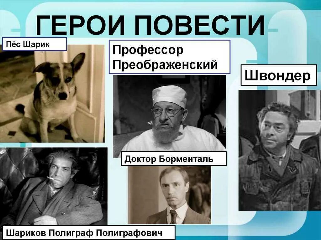 Почему эксперимент профессора преображенского не удался. Булгаков Собачье сердце профессор. Булгаков Собачье герои. Доктор Борменталь Собачье сердце.