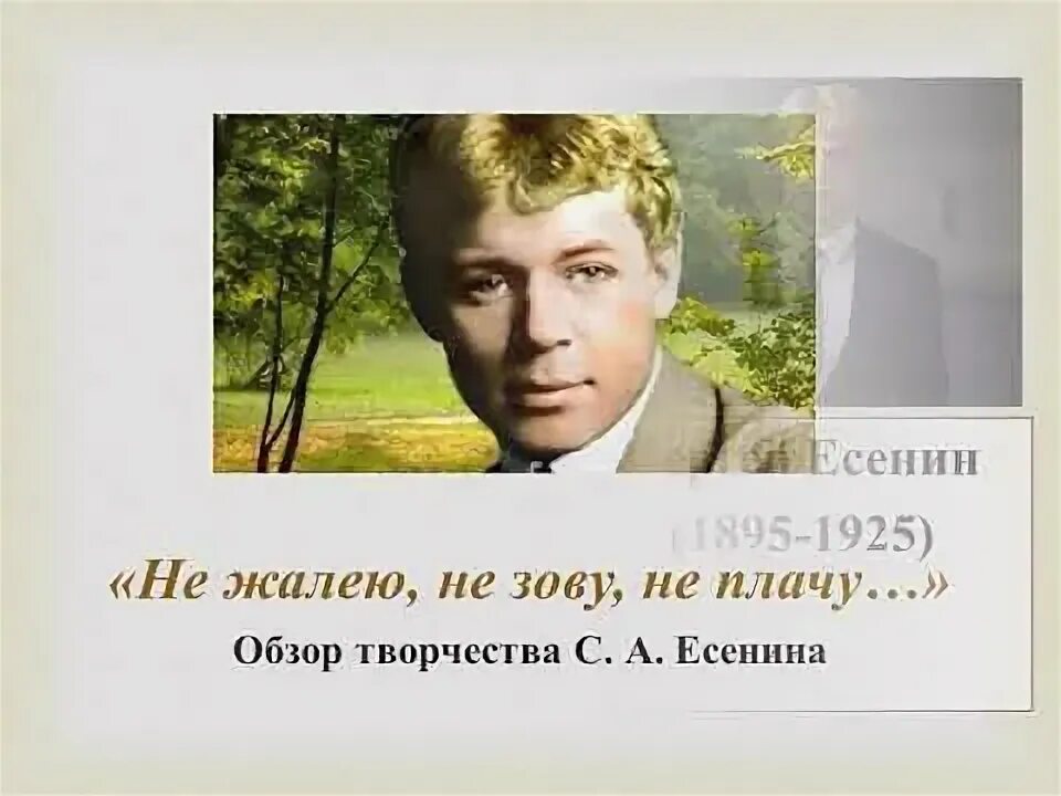 Кадышева не жалею не зову плачу. Не жалею не зову не плачу есенин. есенин не плачу. сергей есенин не жалею не зову не плачу. не жалею, не зову, не плачу.