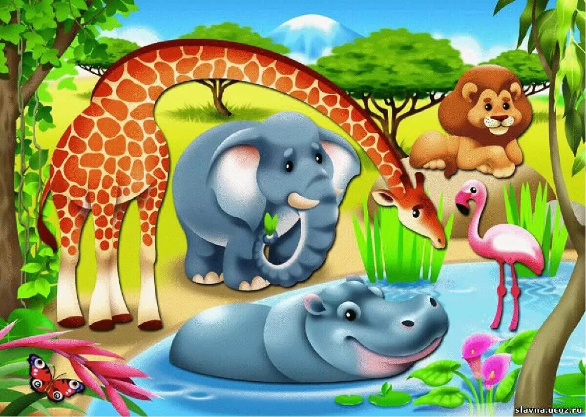 Тигр лев жираф слон. Африканские животные. Для детей. Животные. Детям о животных. Животные картинки для детей.