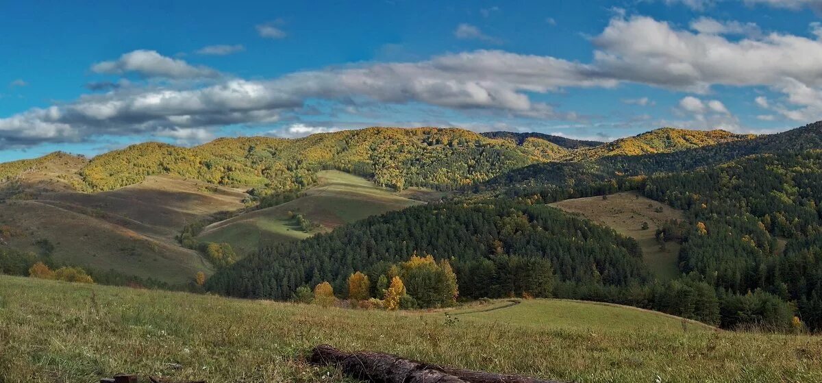 Наше большое село расположено в предгорьях ответы