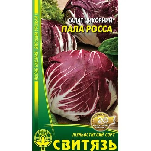 Пала росса. Семена салат цикорный кочанный. Цикорный пала Росса. Салат цикорный пала Росса. Пала Росса цикорный салат фото.