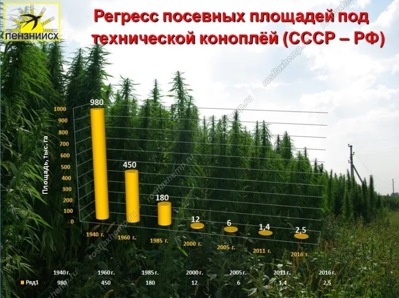 Площадь посадок