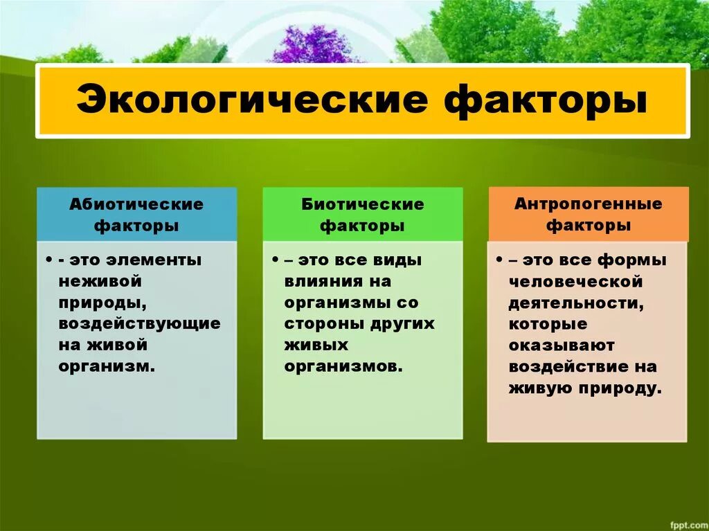 Три фактора окружающей среды. Таблица экологические факторы абиотические биотические. Экологическая фактори. Этологические факторы. Экологическая фактура это.