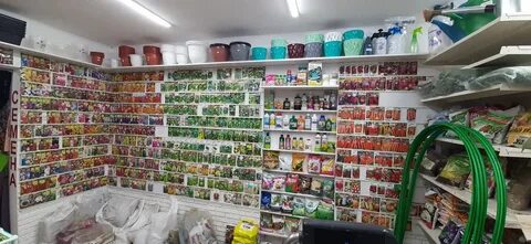 Магазин семена адреса