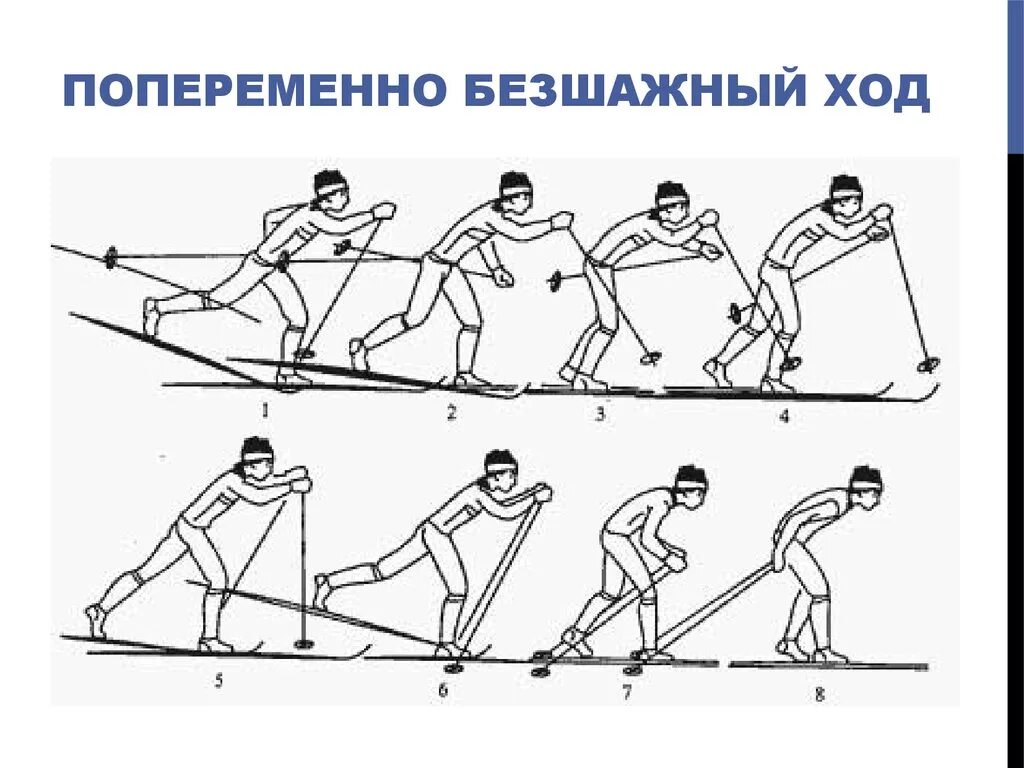 Техники лыжного хода попеременный двухшажный. Бесшажный ход одновременный двухшажный ход. Попеременный двухшажный и одновременный двухшажный ходы.. Бесшажный коньковый ход. При передвижении на лыжах применяют