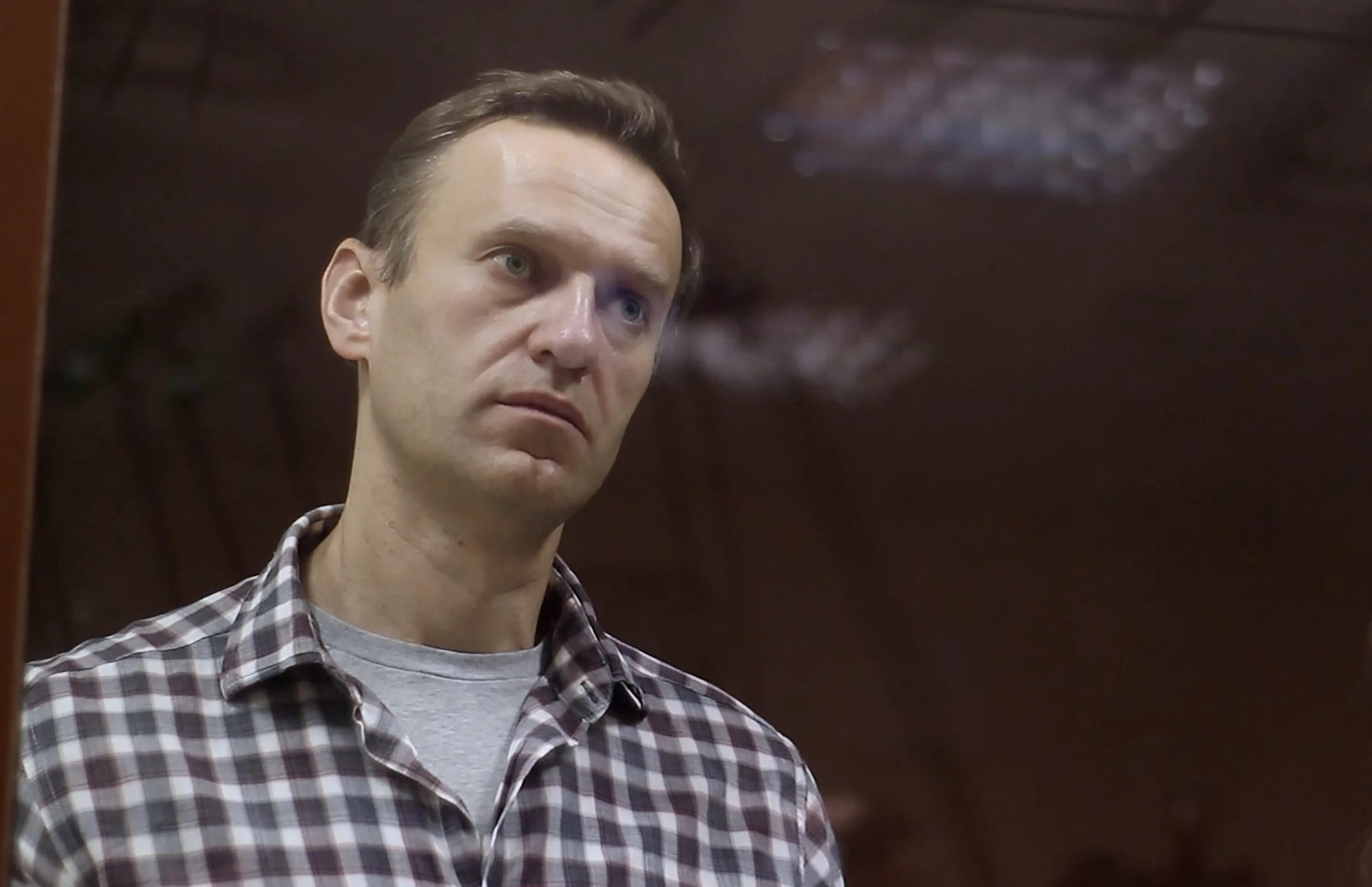 Навальный последние дождь. Навальный 2021.