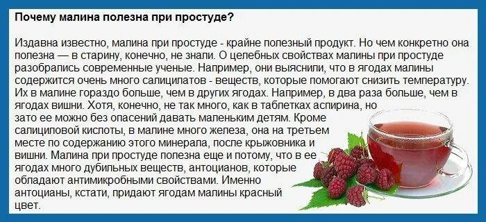 При какой температуре можно малину. Малиновый чай при простуде. Малину при простуде. Чай с малиной от кашля. Лечебные свойства малины.