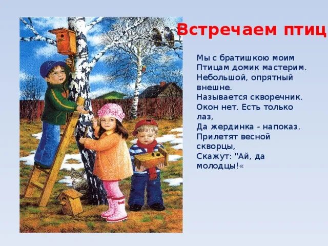 Этих двух птиц не встретишь. Дети встречают птиц. Встречаем птиц картинки. Мы с братишкою Мои домик птица.