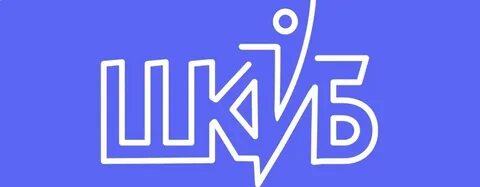 Шкиб школьное инициативное бюджетирование
