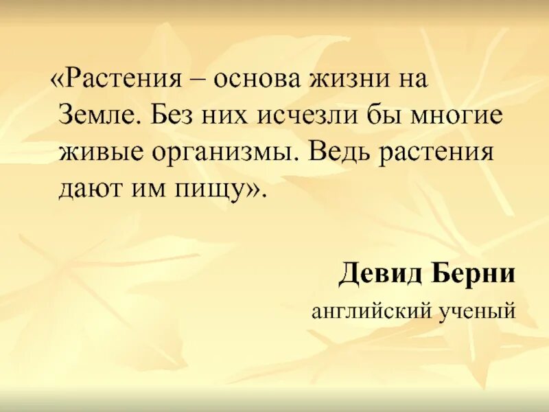 Жизнь без растений невозможна. Зачем нам нужны растения. Почему без растений невозможна жизнь на земле. Презентация жизнь без растений. Без растений жизнь на земле невозможна.