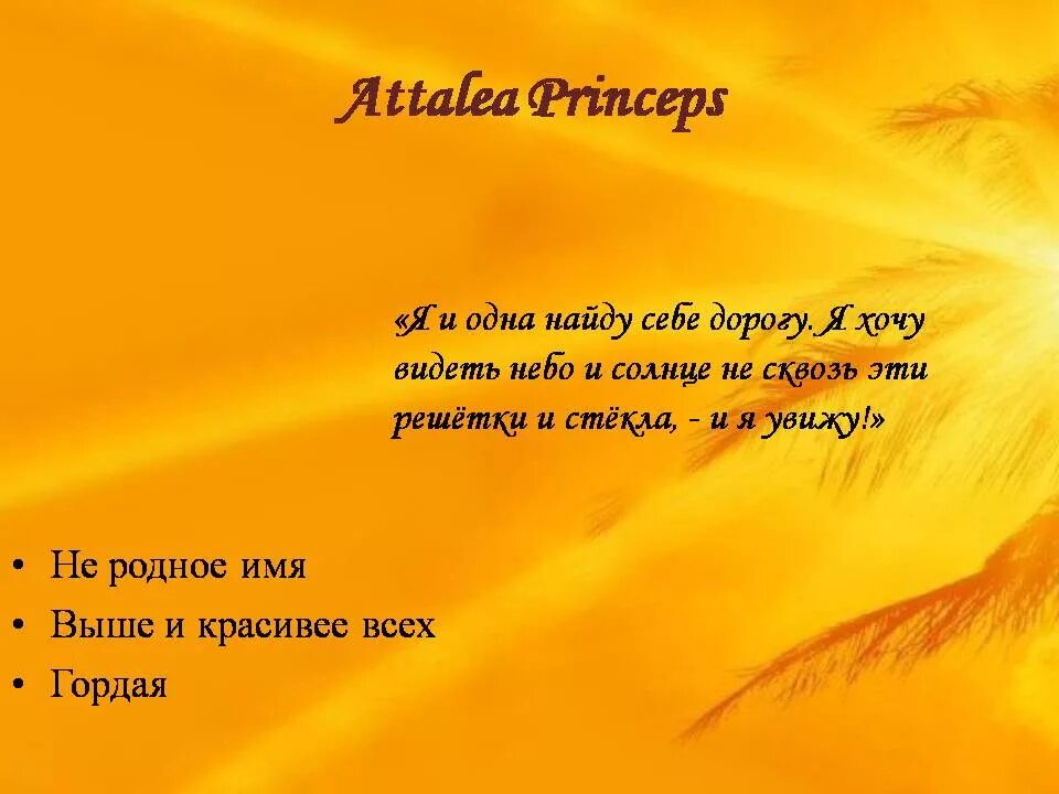 Гаршин attalea princeps читать. Attalea princeps. Гаршин Attalea princeps. Аttalea princeps сказка. Гаршин Attalea princeps иллюстрации.