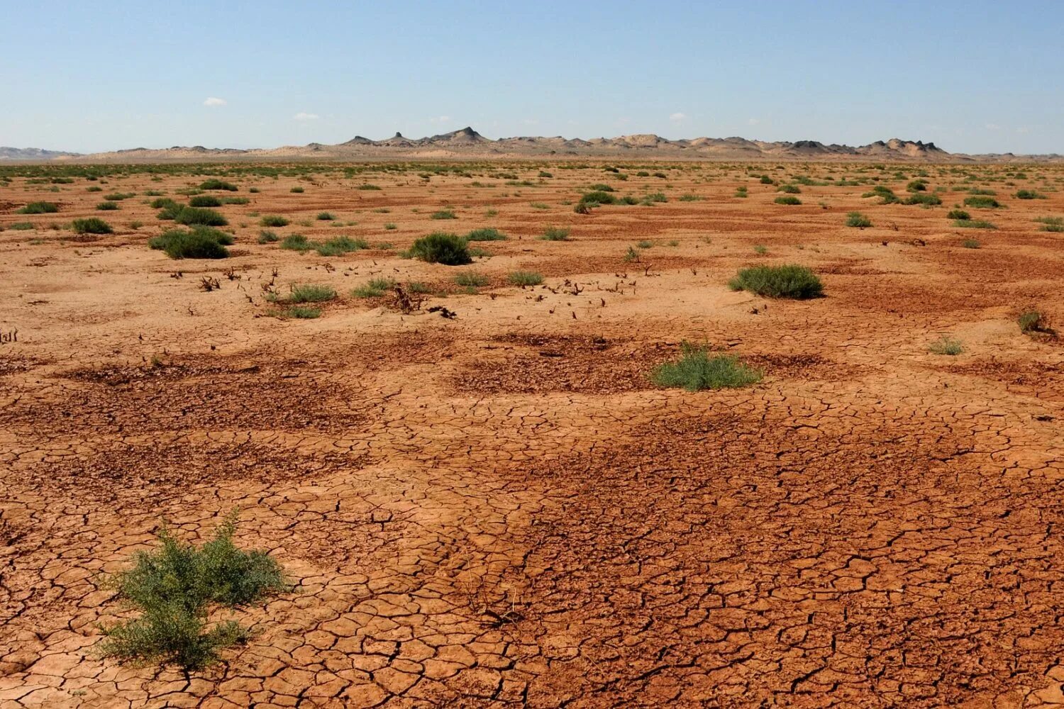 Пустыня рельеф. Саванна пустыня. Полоса сухих саванн вдоль Южной границы Сахары. Человек в пустыне фото.