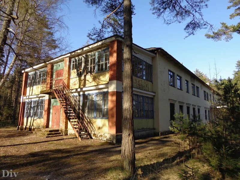 детский лагерь алые паруса сайт. детский лагерь алые паруса кстинино. детский лагерь алые паруса анапа. детский лагерь алые паруса сайт. лагерь алые паруса село пронькино.