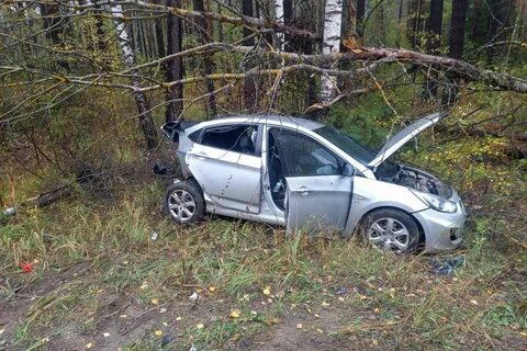 Происшествия в рязани за неделю