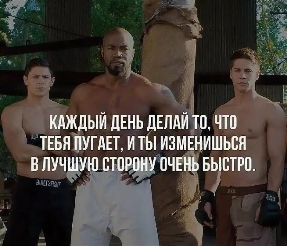 Цитаты боев. Спортивные цитаты. мотивационные цитаты. боевые цитаты. фразы про спорт.