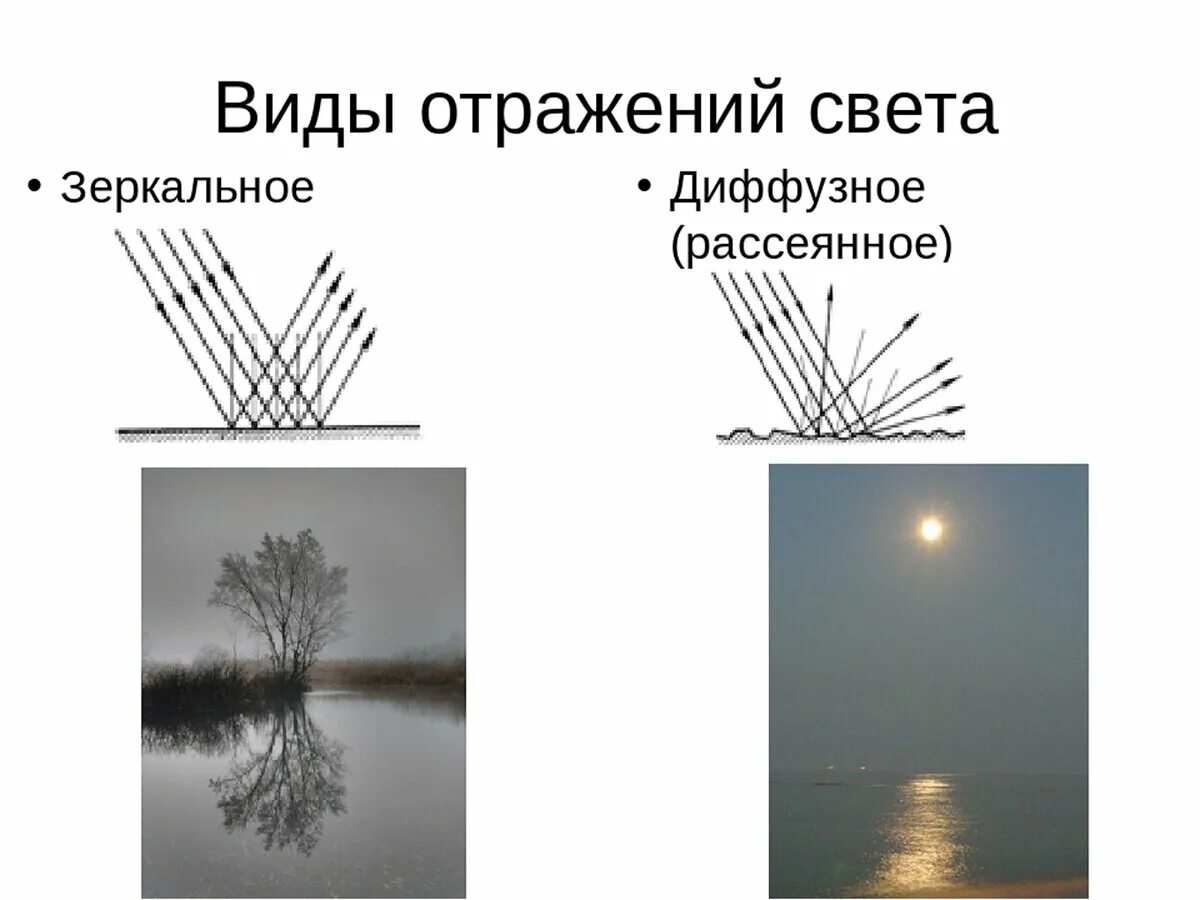 Отражение и преломление света. Диффузное (рассеянное) освещение. Отражение света от воды. Отражение света от поверхности воды. Рассеянное диффузное