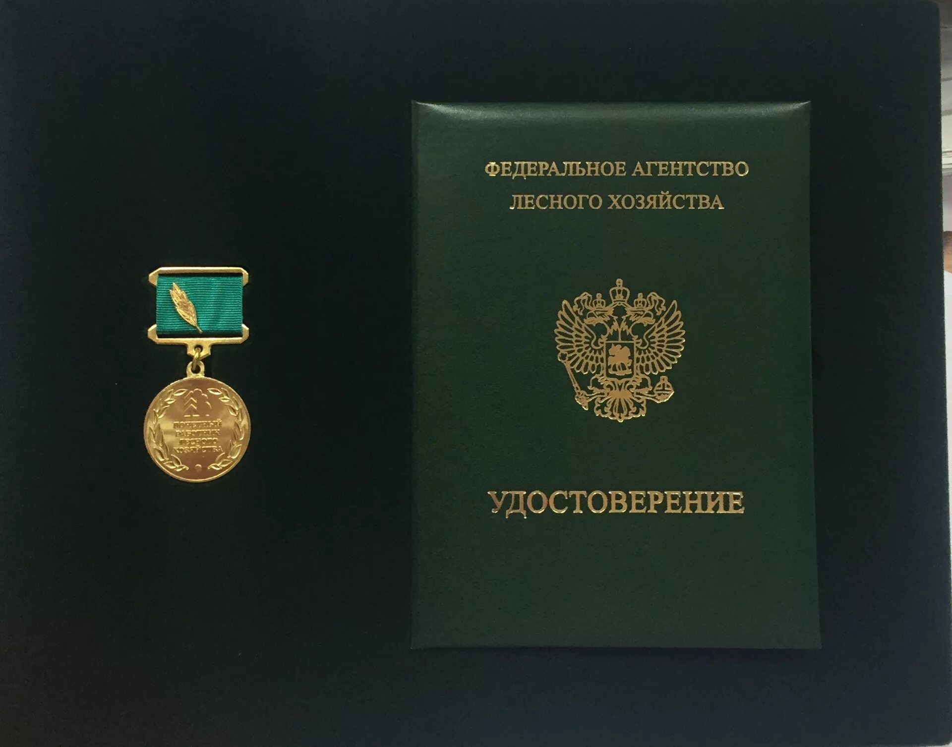 Заслуженный лесной. Заслуженный лесной. Почетный работник лесной промышленности. Заслуженный лесной. Почетный работник лесной промышленности.