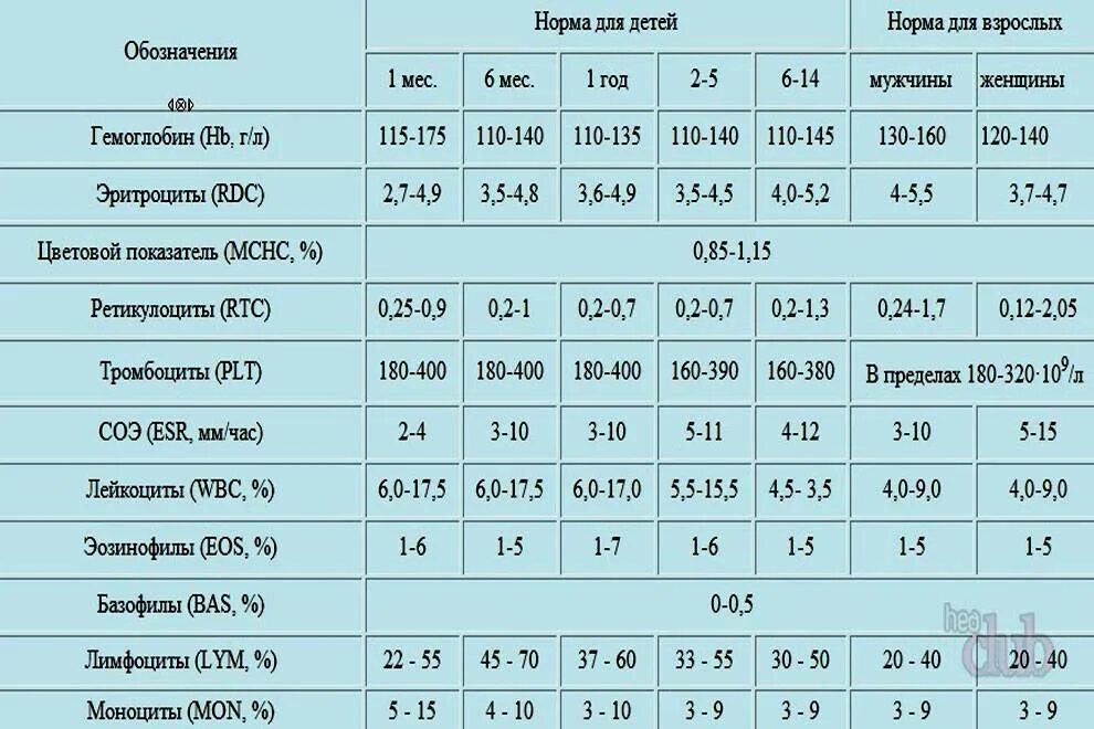Показатели общего анализа крови расшифровка у женщин норма в таблице. Показатели общего анализа крови расшифровка у мужчин норма. Клинический анализ крови норма и расшифровка результатов таблица. Общий развёрнутый анализ крови норма таблица. Твйджемв расшифровать