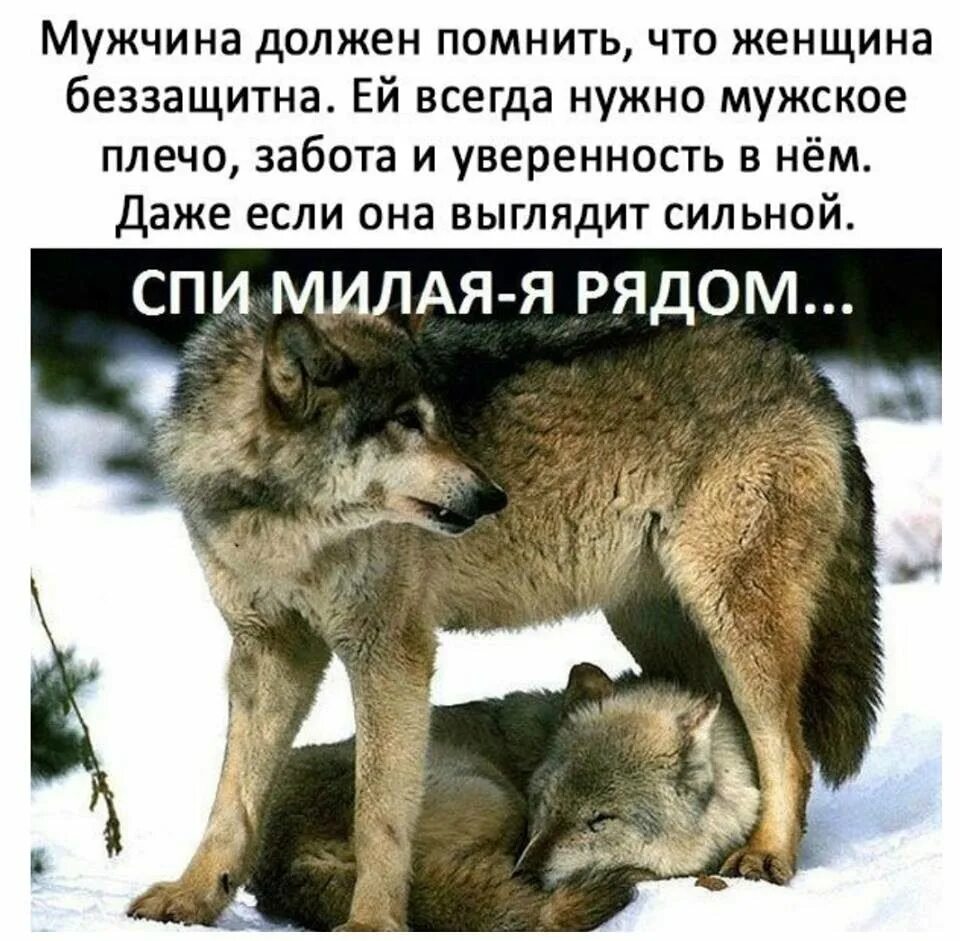 Всегда поймет всегда поддержит