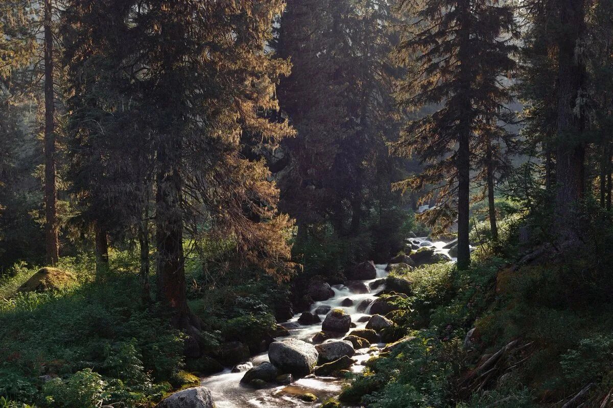 красноярск ергаки озеро художников. хозяин тайги ергаки. ергаки горы спящий саян. парк ергаки красноярский самые красивые места. база хозяин тайги ергаки.