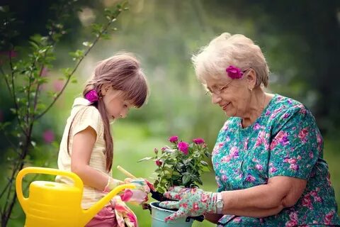 Добрые дела пенсионерам