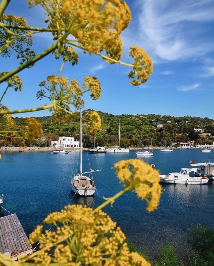 Бодрум мугла. Бодрум турция. гюмюшлюк бодрум. bodrum турция.