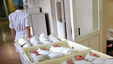 В какой роддом ехать рожать