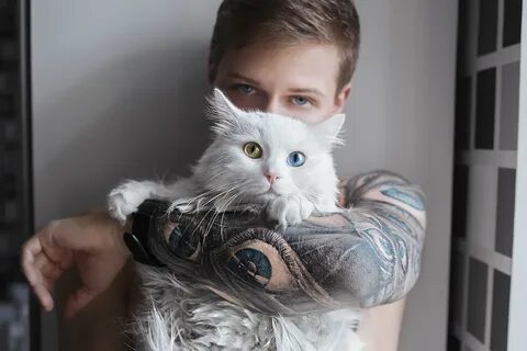 Кошечка в руках