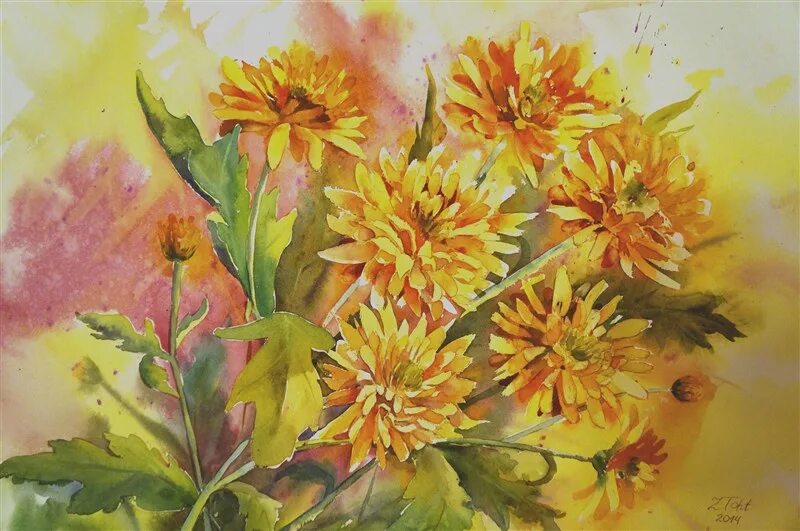 Цветы акварелью хризантемы. Хризантемы акварелью. Хризантемы акварелью. Хризантемы этюд. Хризантемы акварелью для начинающих.