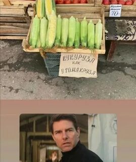Том кукуруз