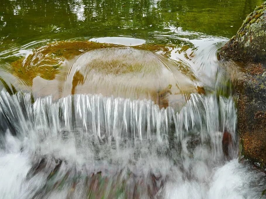 Природный водный орган