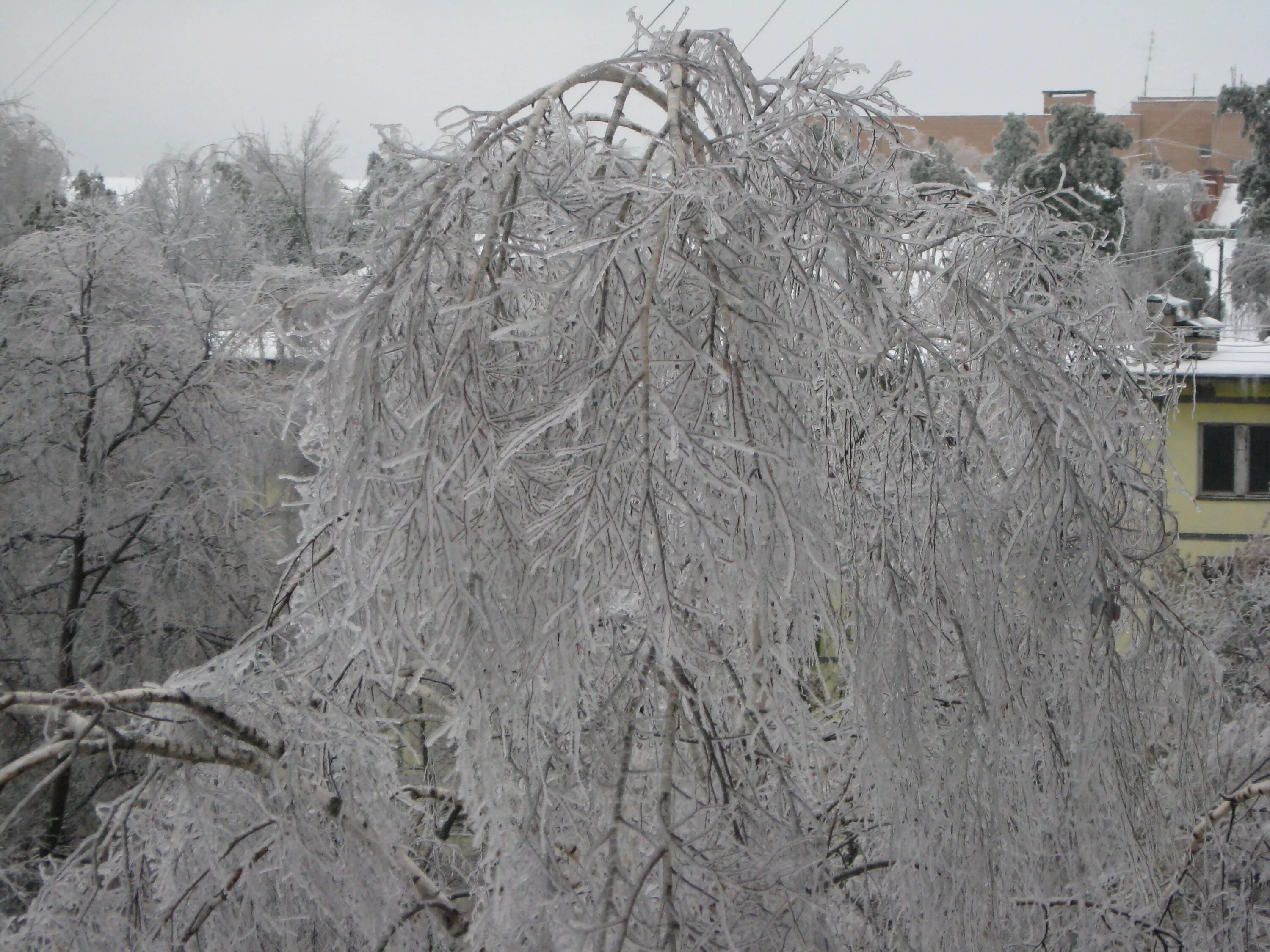 В каком году был ледяной дождь. Ледяной дождь в москве 2016. В каком году был ледяной дождь. В каком году был ледяной дождь. В каком году был ледяной дождь.