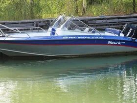 Сильвер хавк 540