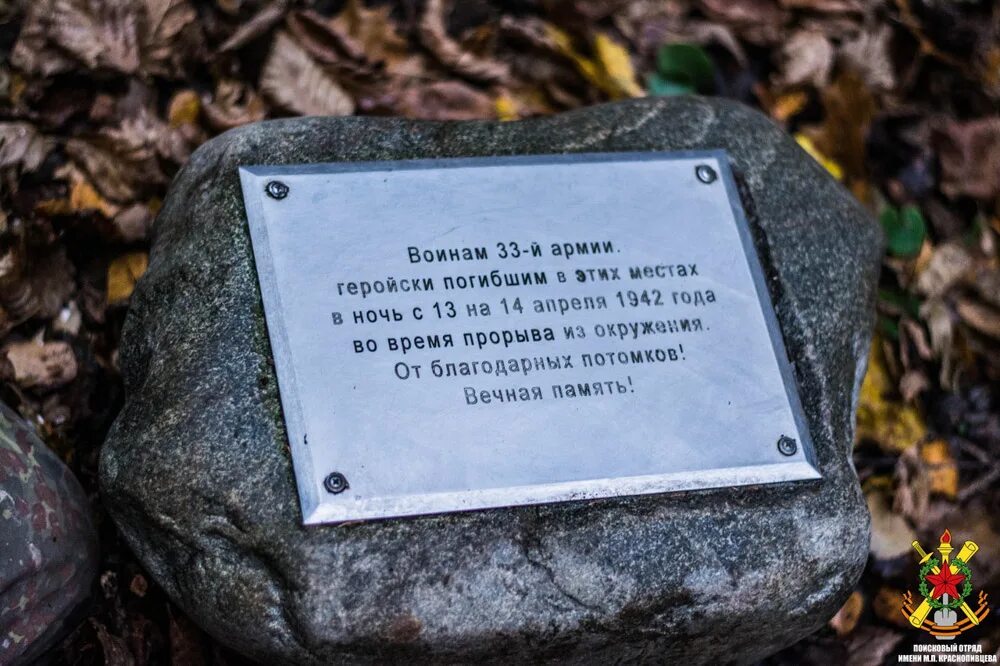 шпыревский лес 33 армия. шпыревский лес фото поисковиков. мина в лесу. шпыревский лес на карте. мончаловские леса на карте.