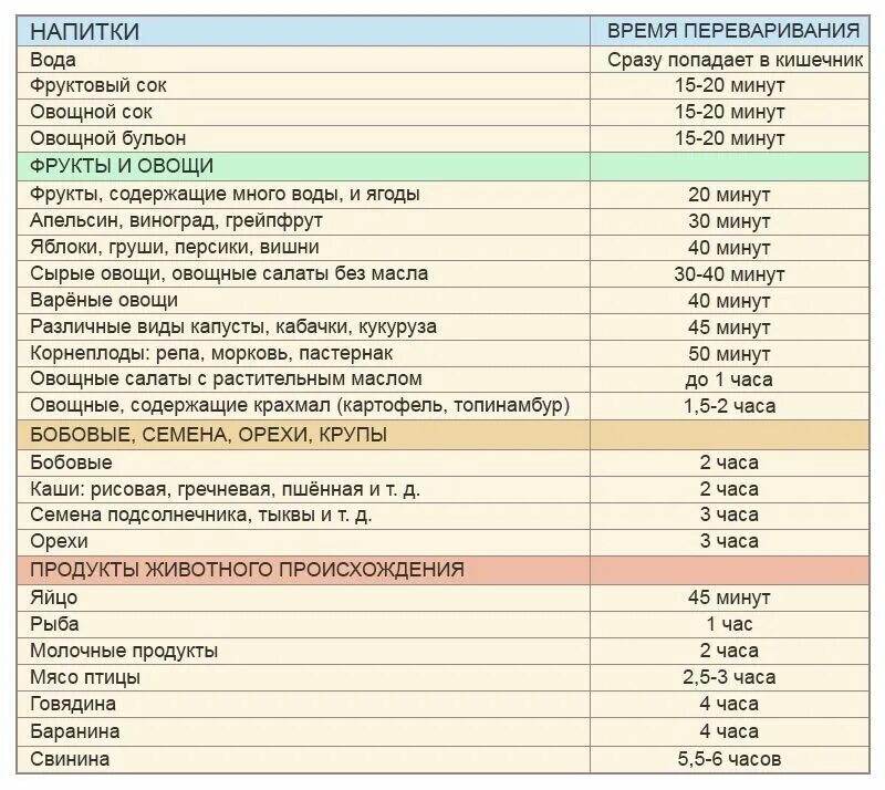 Сколько переваривается пища у ребенка