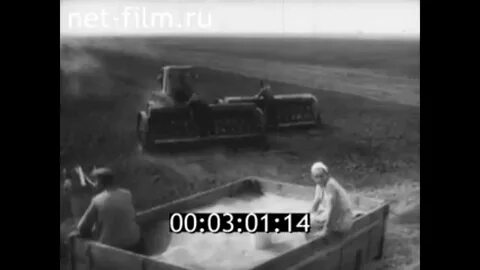 Колхоз 5 аудиокнига