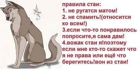 Есть слово стай