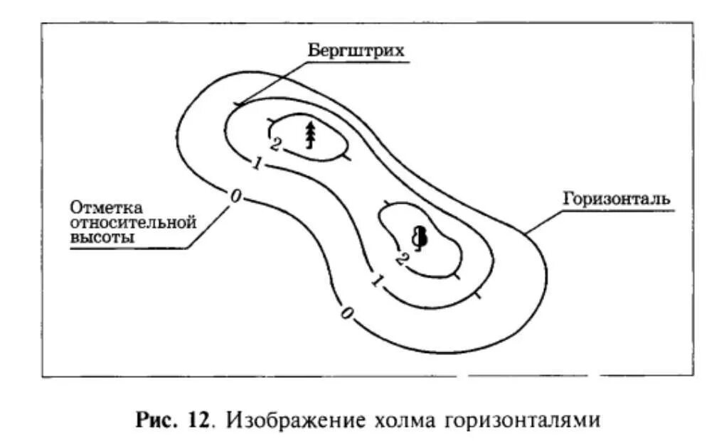 Изображение горизонталями на плане. Изображение холма горизонталями. изображение холма с помощью горизонталей. горизонтали на плане. горизонтали на плане местности.